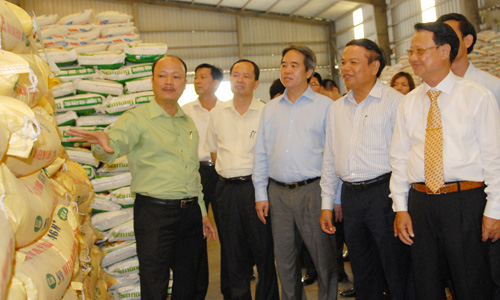 Mô hình nhà máy giúp nông dân kiếm lời tiền tỷ